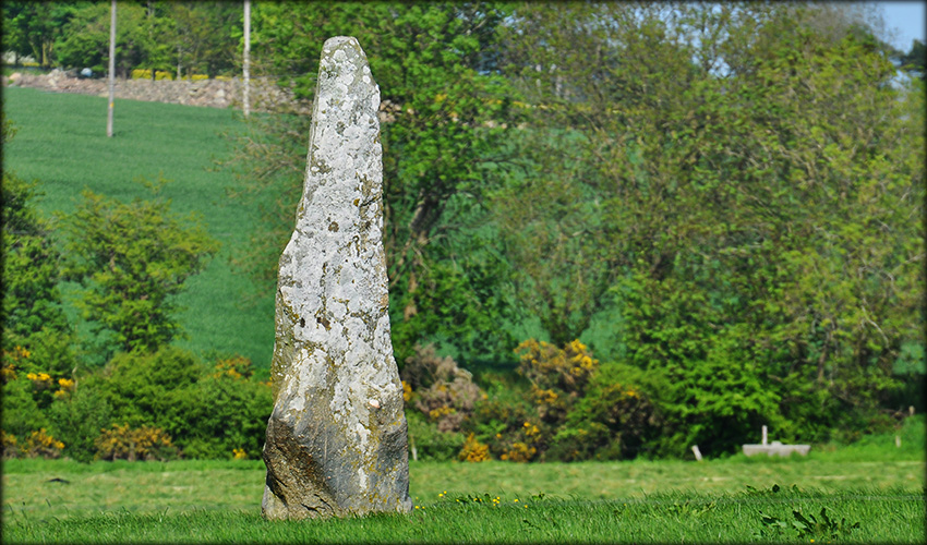 Ballymoat Standing Stone, Waterford